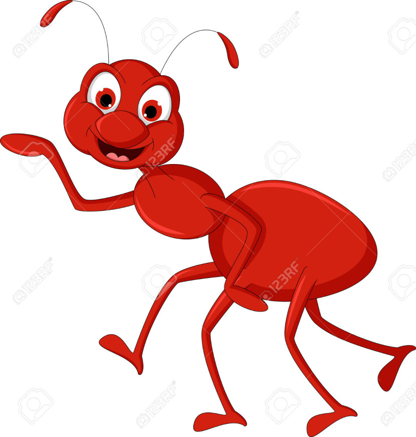 Ant