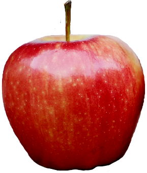 file single apple wikipedia