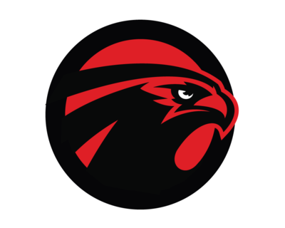 atlanta falcons bird symbols png logo #3839