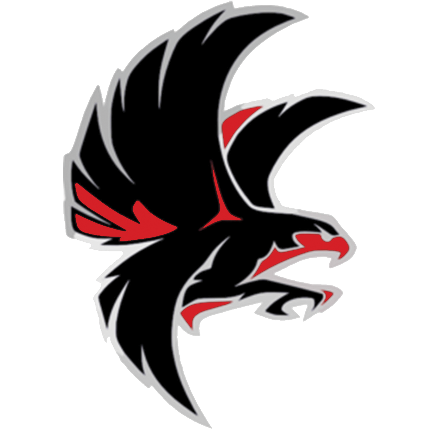 falcon school mascot png logo #3856