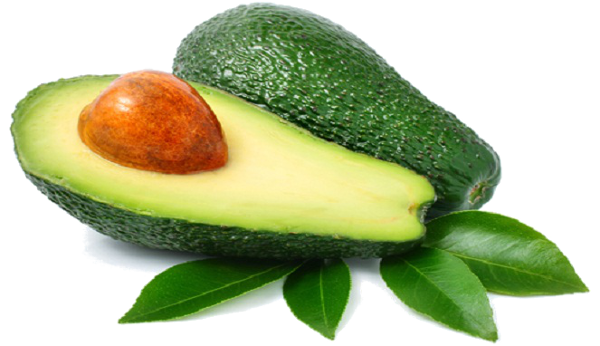 avocado, avacadoes california cna avo inc #23684