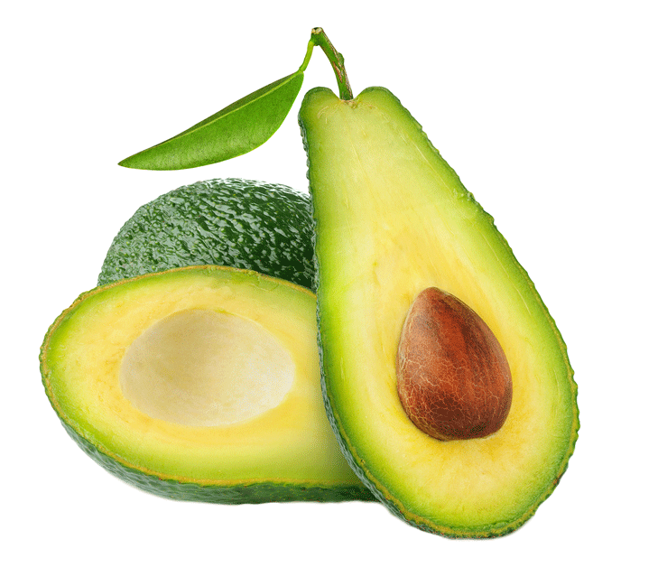 avocado monthly organic avocados shipped monthly #23723