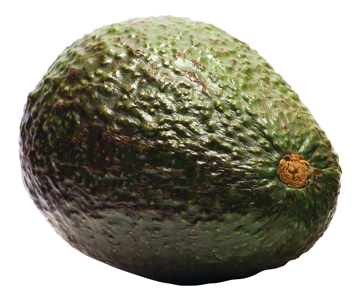 avocado png image pngpix #23724