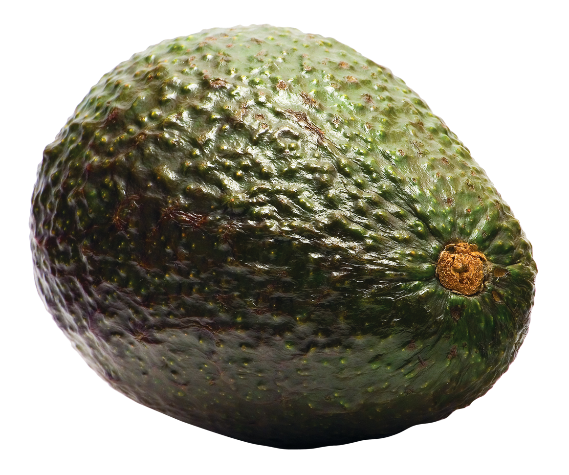 Avocado