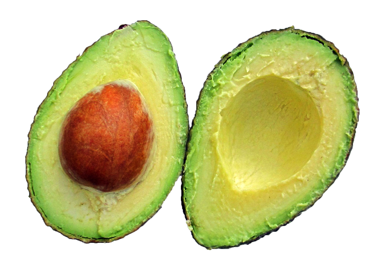 avocado png image pngpix #23753