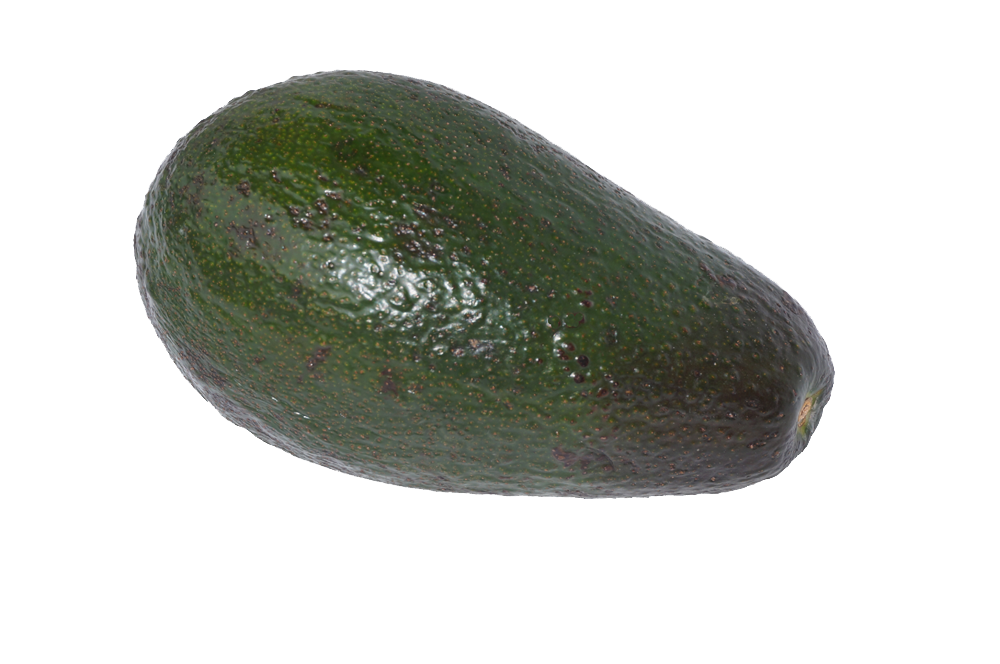 avocado png images with transparent backgrounds #23732