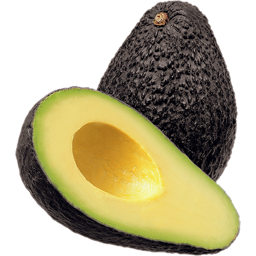 avocado png tumblr #23671