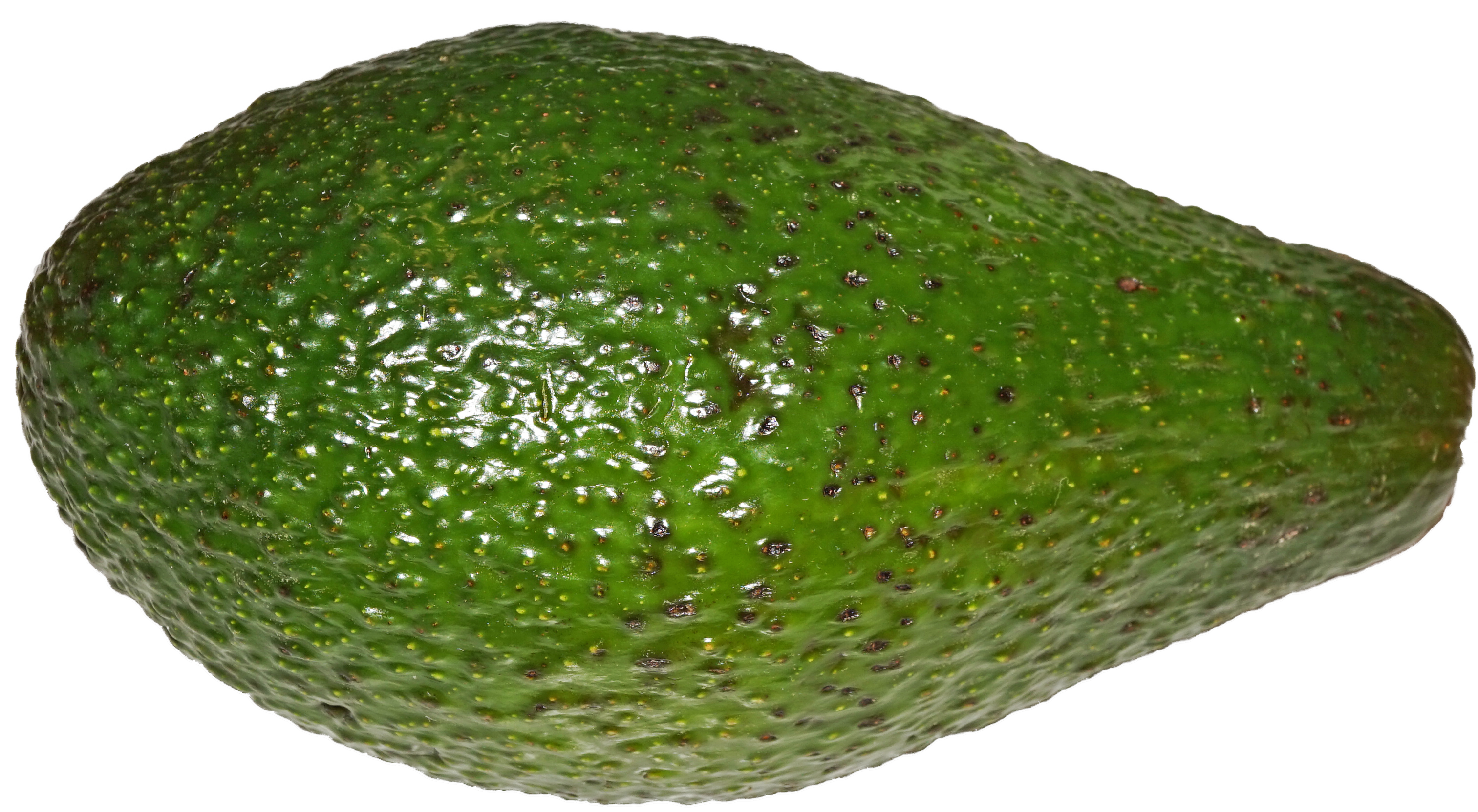 hd transparent avocado image #23688