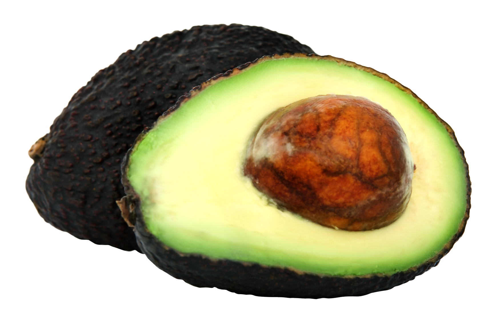 fresh avocado png image pngpix #23715