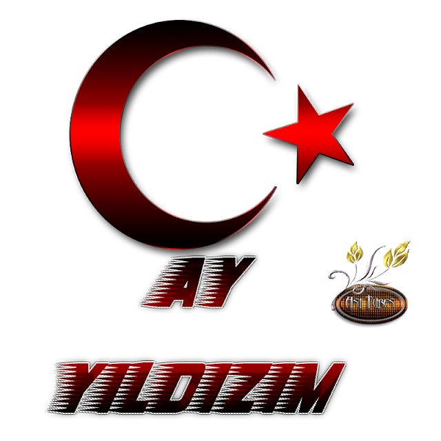 ay yıldızım logosu #39041