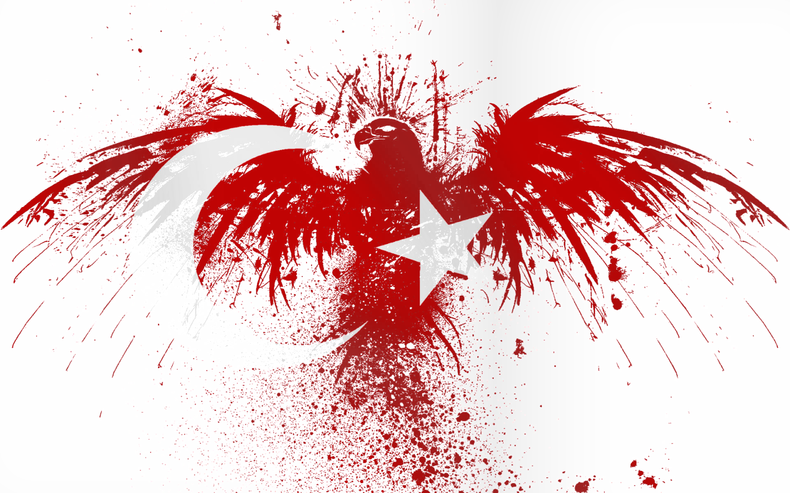 beyaz ay yıldız türk bayrağı png resim #39062