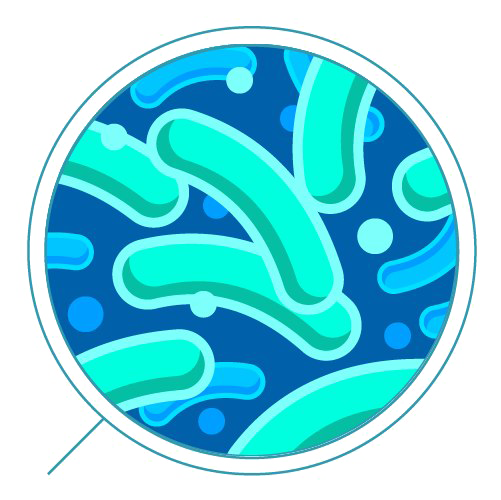 bacteria png images transparent download pngmartm #36752