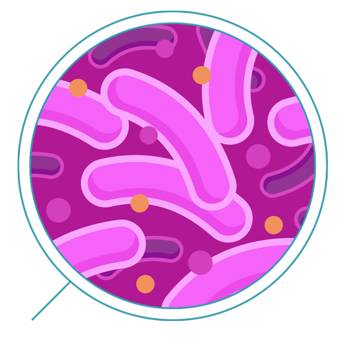 bacteria png images transparent download pngmartm #36738