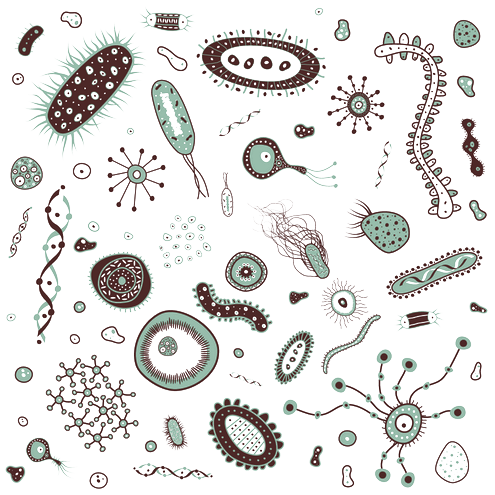 bacteria png transparent images #36784