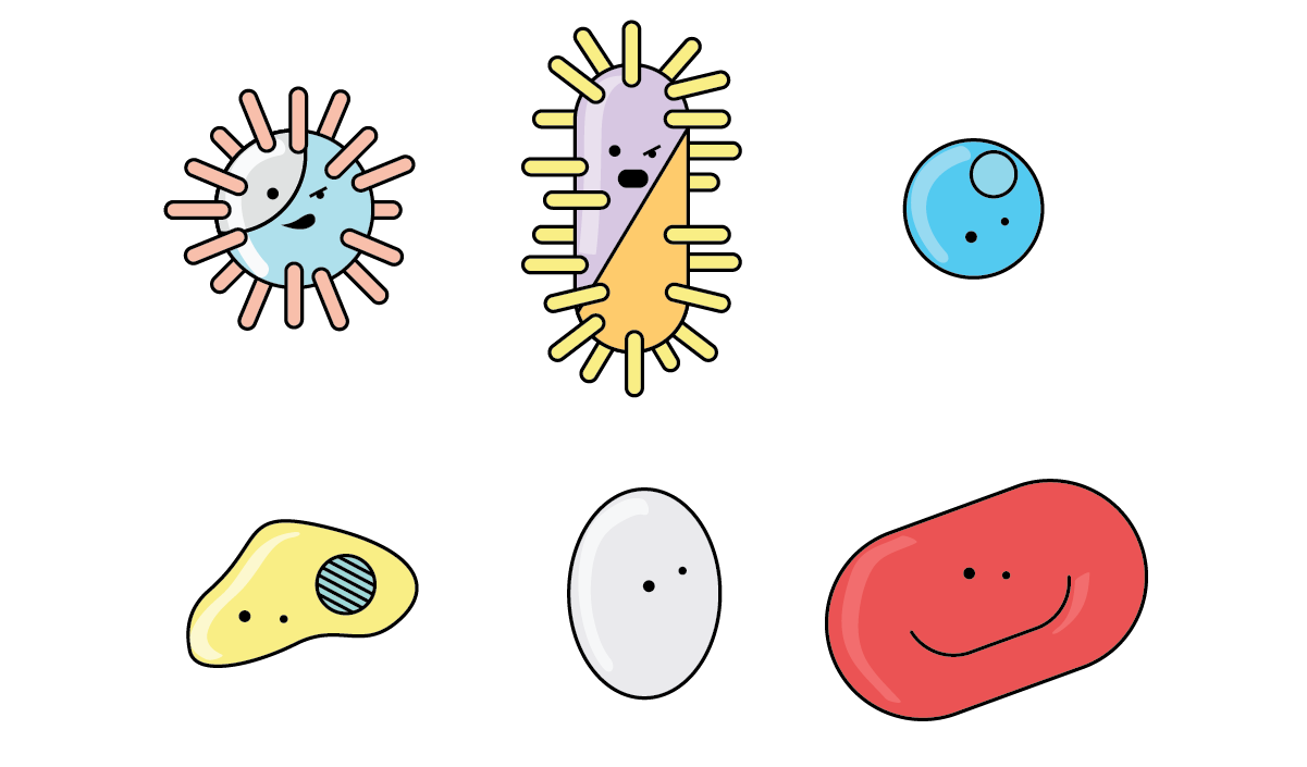 bacteria small things considered flagellar motors how bacterium #36768
