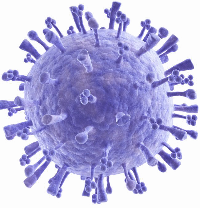 download bacteria image image png image #36789