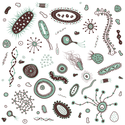 bacteria clipart clipart panda clipart images #37254