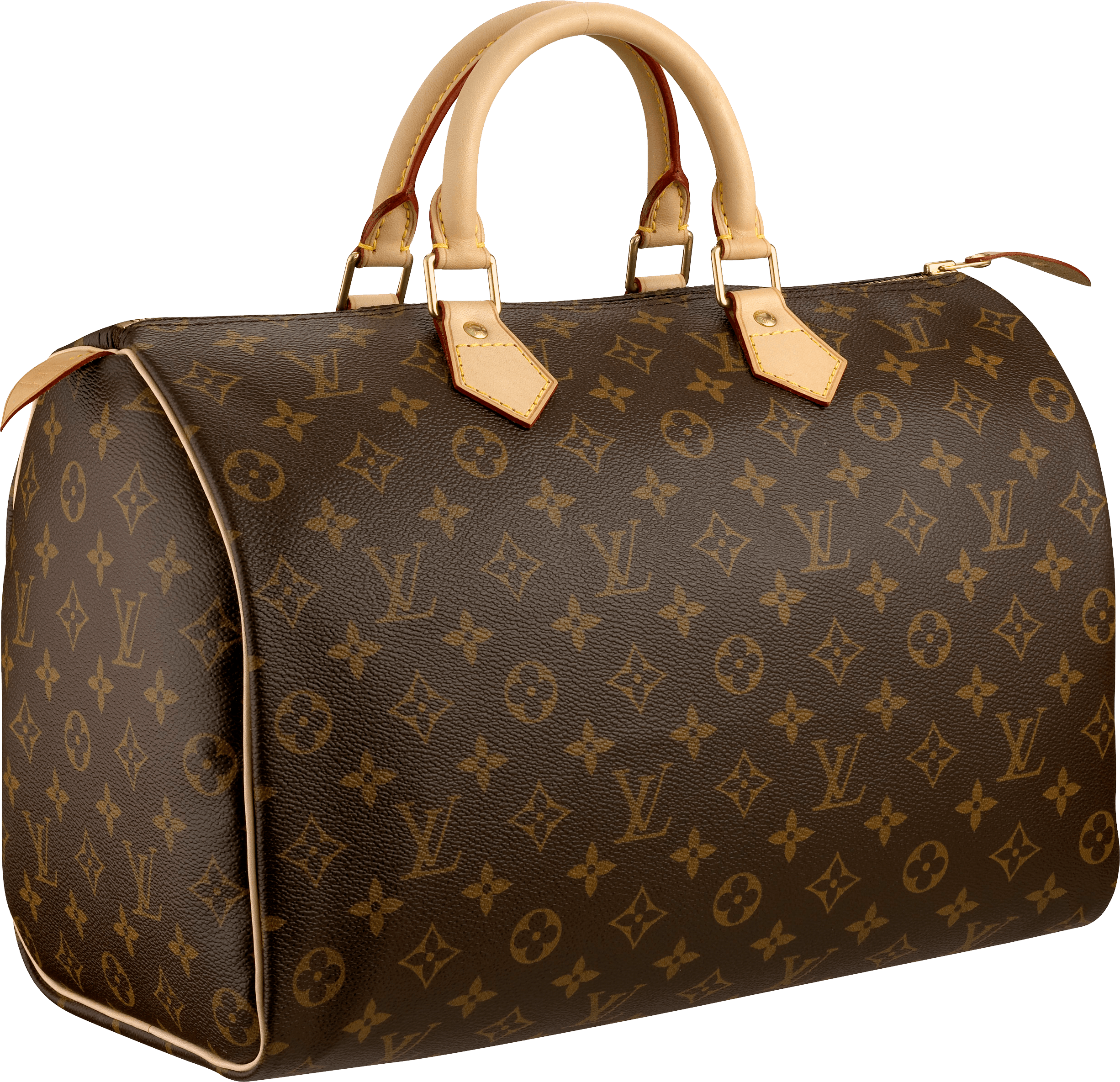 download louis vuitton women bag png image png image #21067