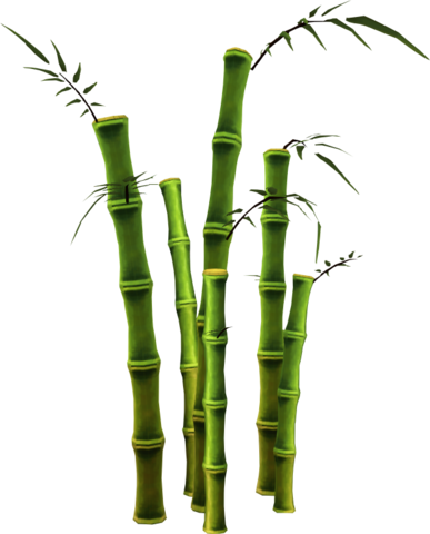 bamboo file png icons and png backgrounds #18287