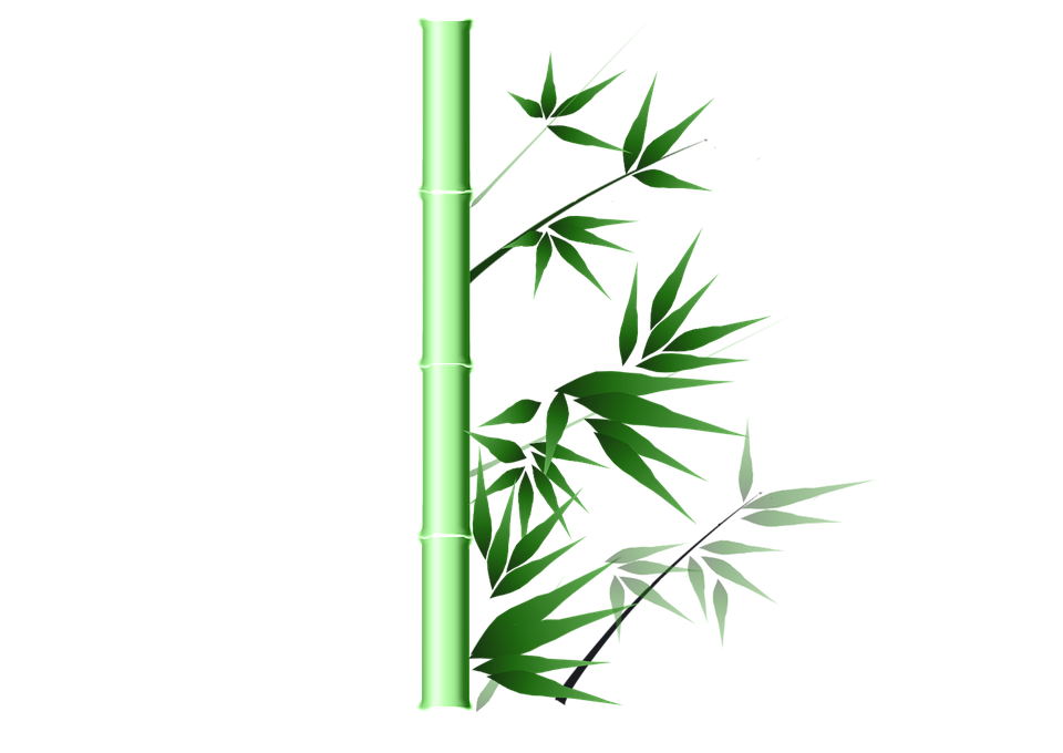 bamboo green ink image pixabay #18281