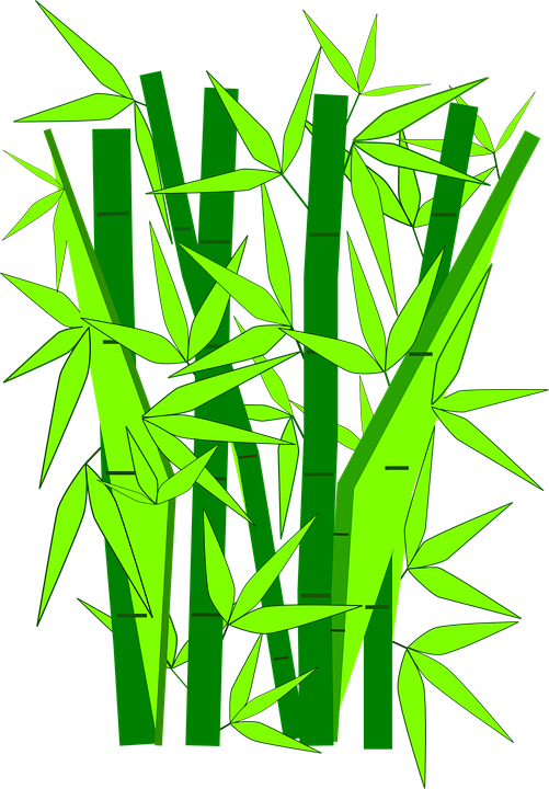 bamboo plants green vector graphic pixabay #18283