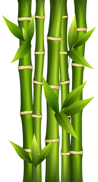 bamboo png clipart image gallery yopriceville high #18278