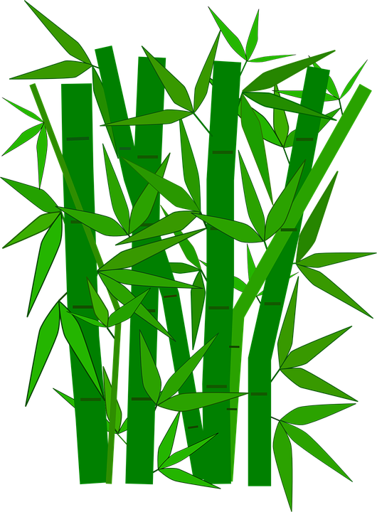 bamboo png transparent images png only #18312