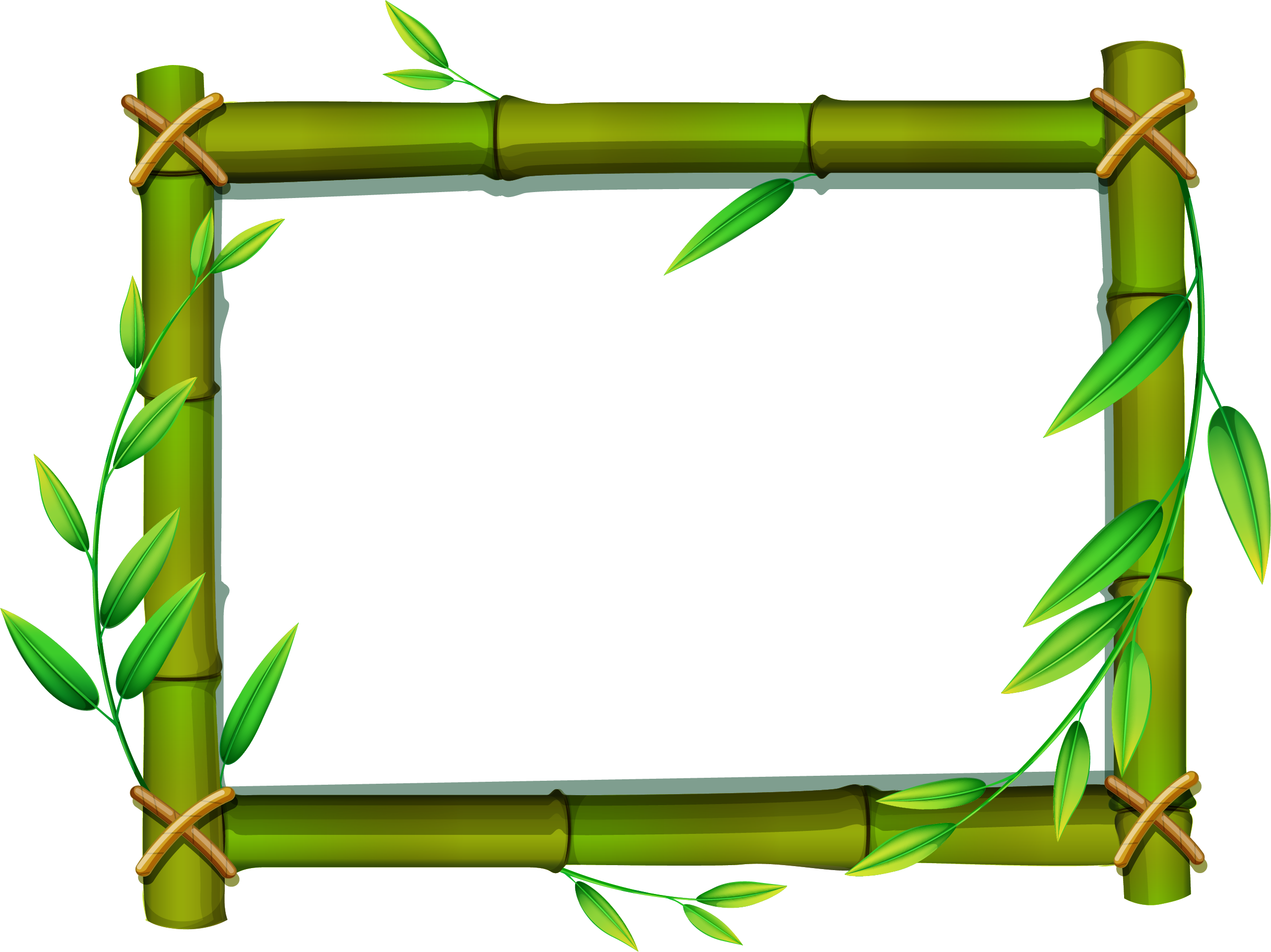 bamboo png transparent images png only #18352