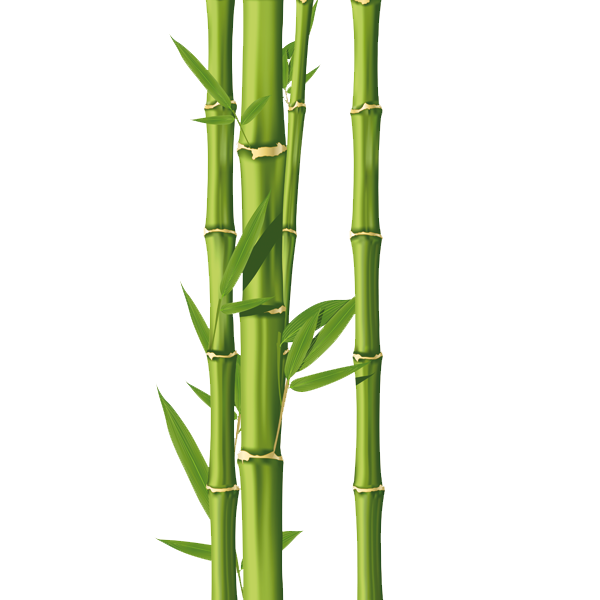 forgetmenot bamboo #18286