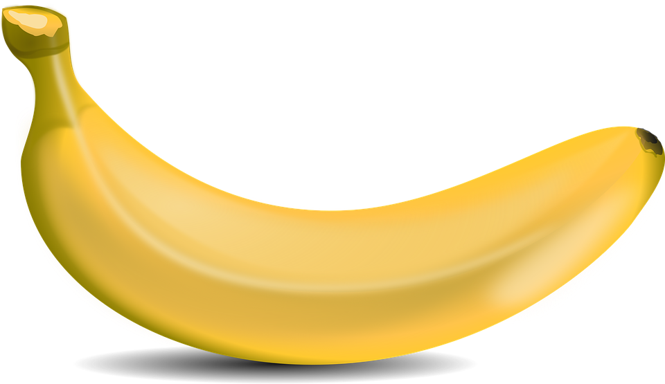 illustration fruits tree banana image #12959