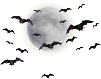 bat, halloween graphics #20505