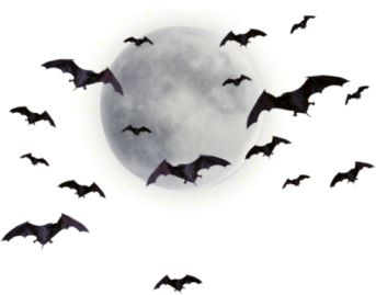 Bat PNG Images - Baseball Bat, Halloween Bats Clipart Free Download