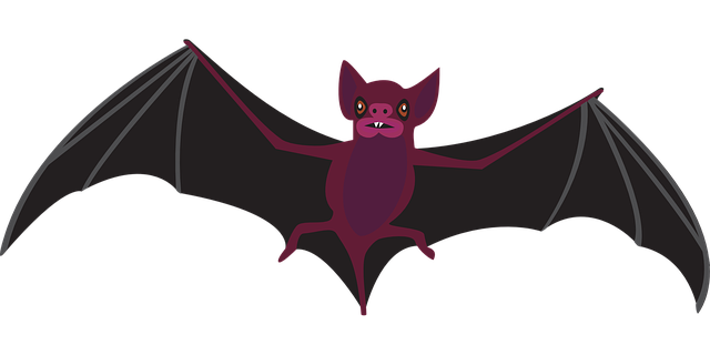 bat night fly vector graphic pixabay #20475