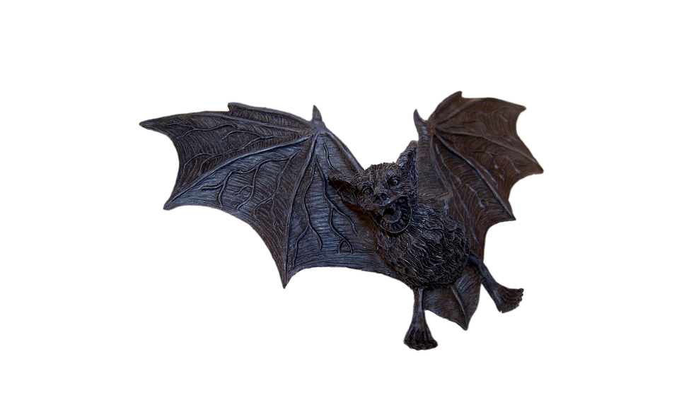 bat vampire decoration photo pixabay #20466