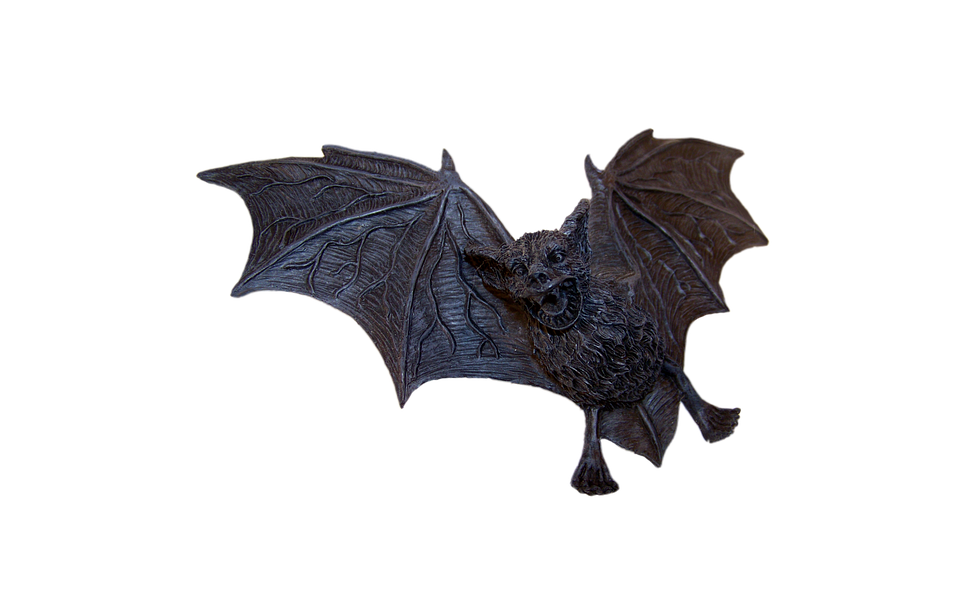 Bat