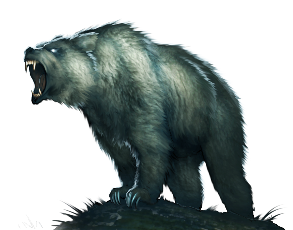 Bears transparent PNG images - StickPNG