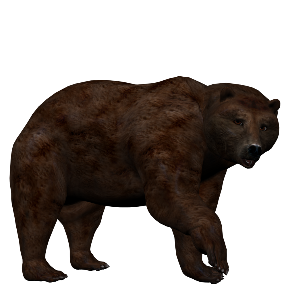 bear png direwrath deviantart #21649