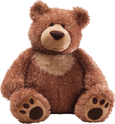 bear PNG transparent image download, size: 500x376px