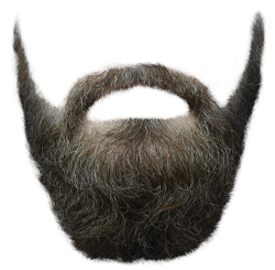 real beard with mustache png #13301