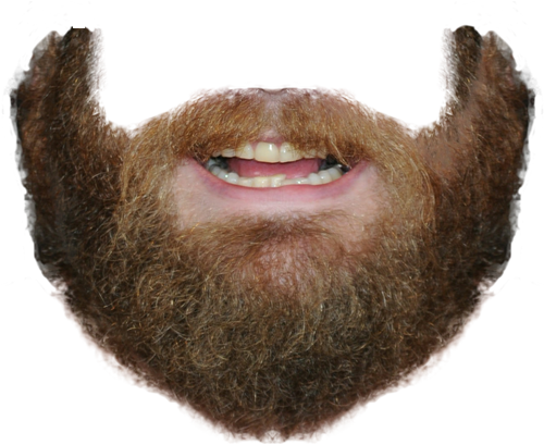 beard png transparent images png only #13256