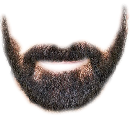 beard simulator #13253