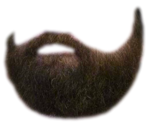 beard simulator #13266