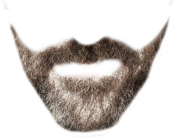 designer beard transparent background #13290