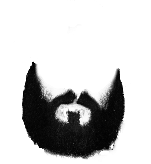 download beard png image png image pngimg #13283