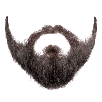 download beard png photo images and clipart pngimg #13271