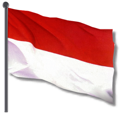 bendera indonesia merah putih png transparent #41417