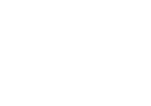berkshire hathaway logo, case studies brandactive #31967