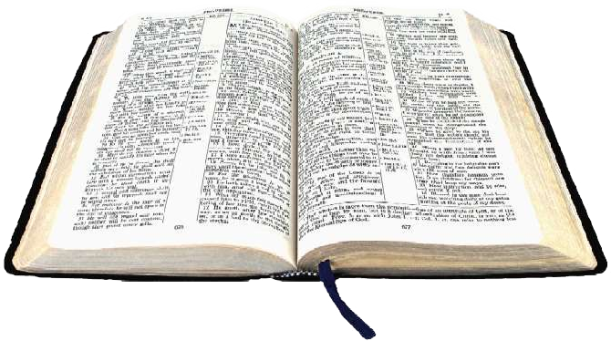 bible, scripture #17950