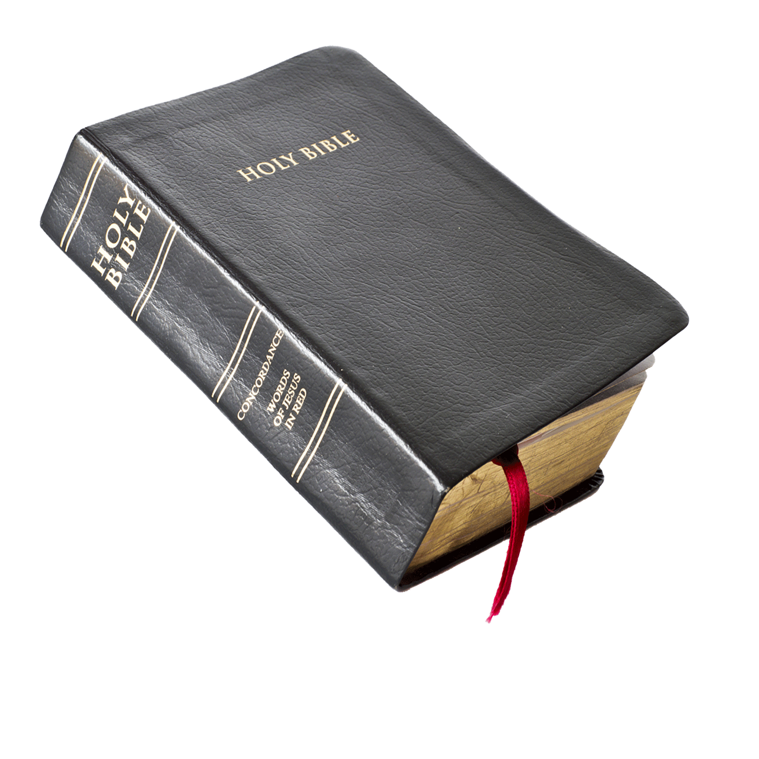 readthebiblem read the bible bible seminars #18019