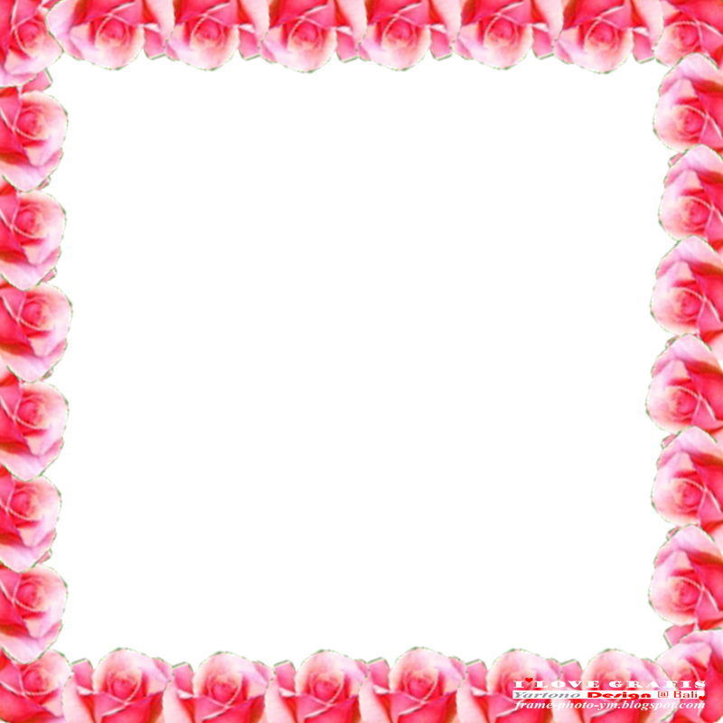 bingkai bunga download frame photo bingkai foto gratis #38113